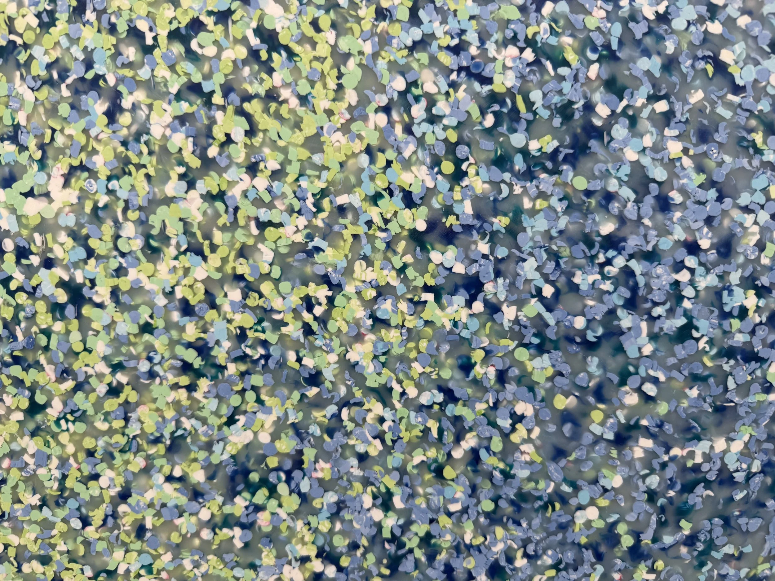 IMG_0805.jpeg