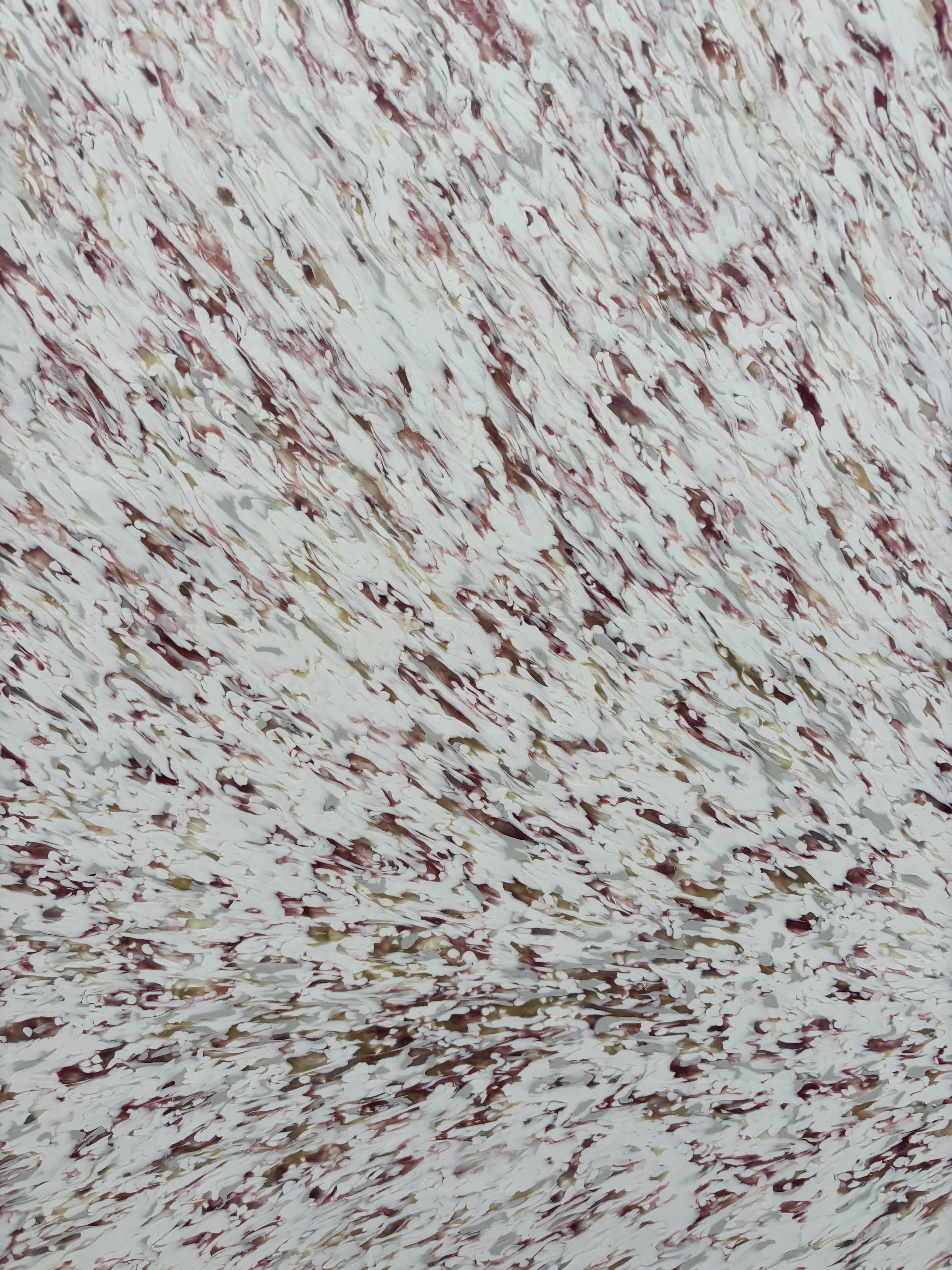 0118 -20-SP-2026-B.jpeg