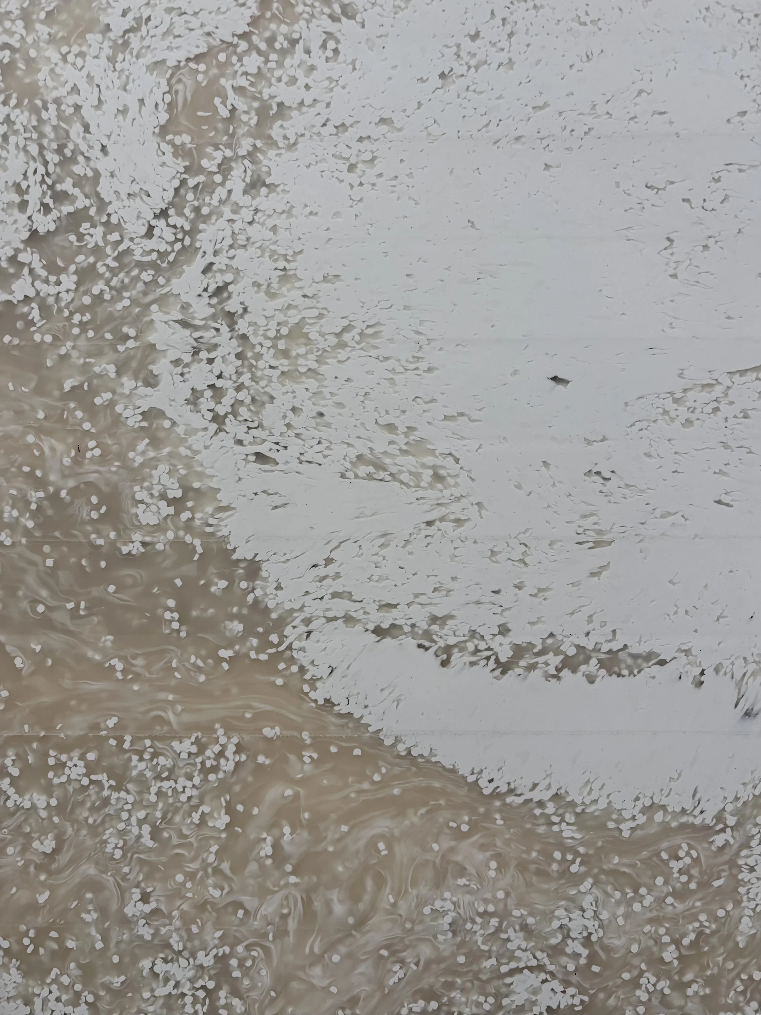 0116 -10-MB-2026-E.jpeg