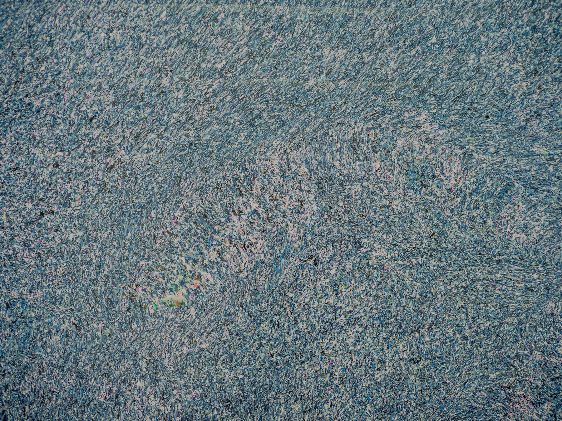 0005_1.jpg