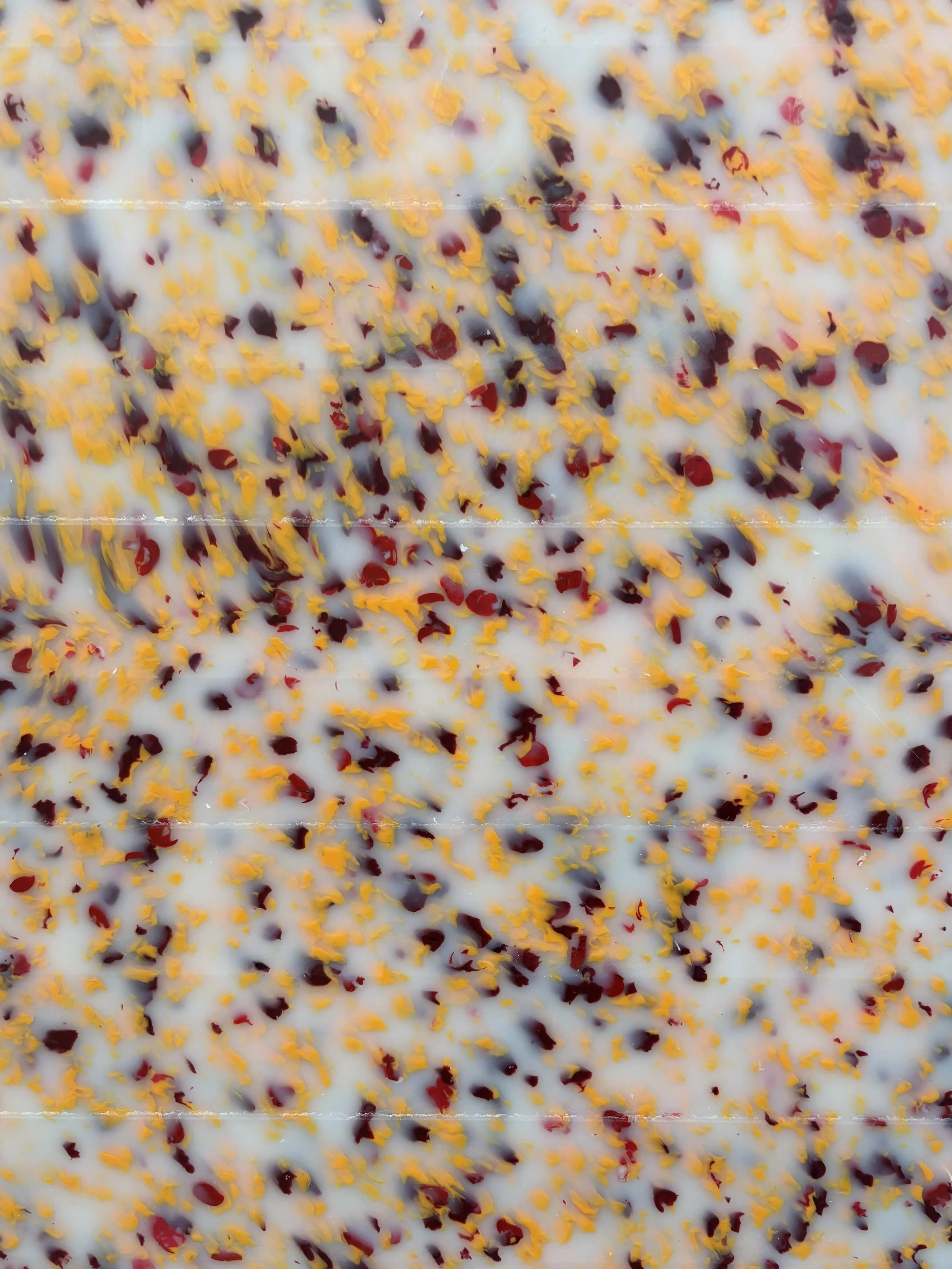 0125 -20-SP-2026-D.jpeg