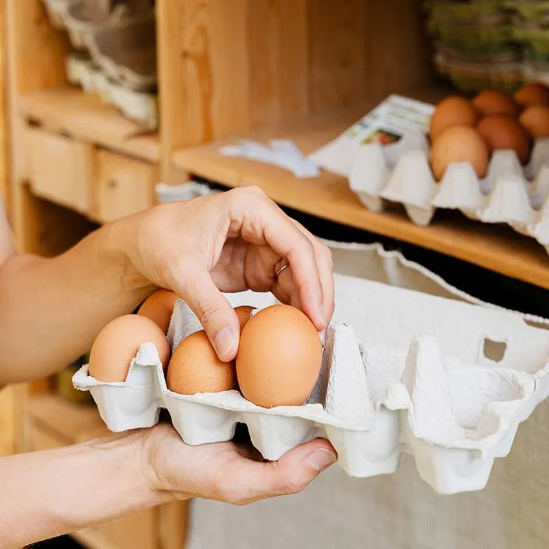 Person placing eggs in a cardboard egg carton at a grocery store or farmers market.