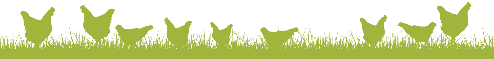 Silhouette of multiple dogs in the grass against a white background.