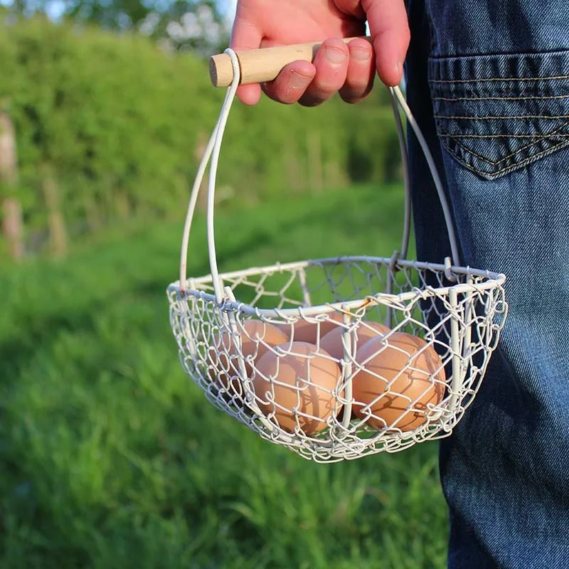 Farmer holding a wire basket with eggs on a farm or countryside background.