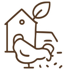 Line drawing of a birdhouse with a leaf on top and a bird feeding on the ground nearby.