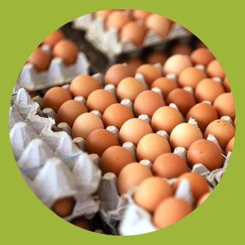 A large number of brown eggs in a tray with shredded paper padding.