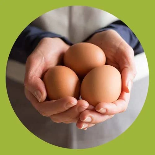 Hands holding four brown eggs against a green circular background.