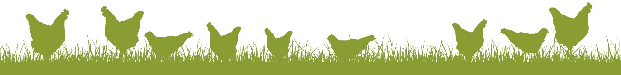 Silhouette of multiple cats sitting in grass against a contrasting background.