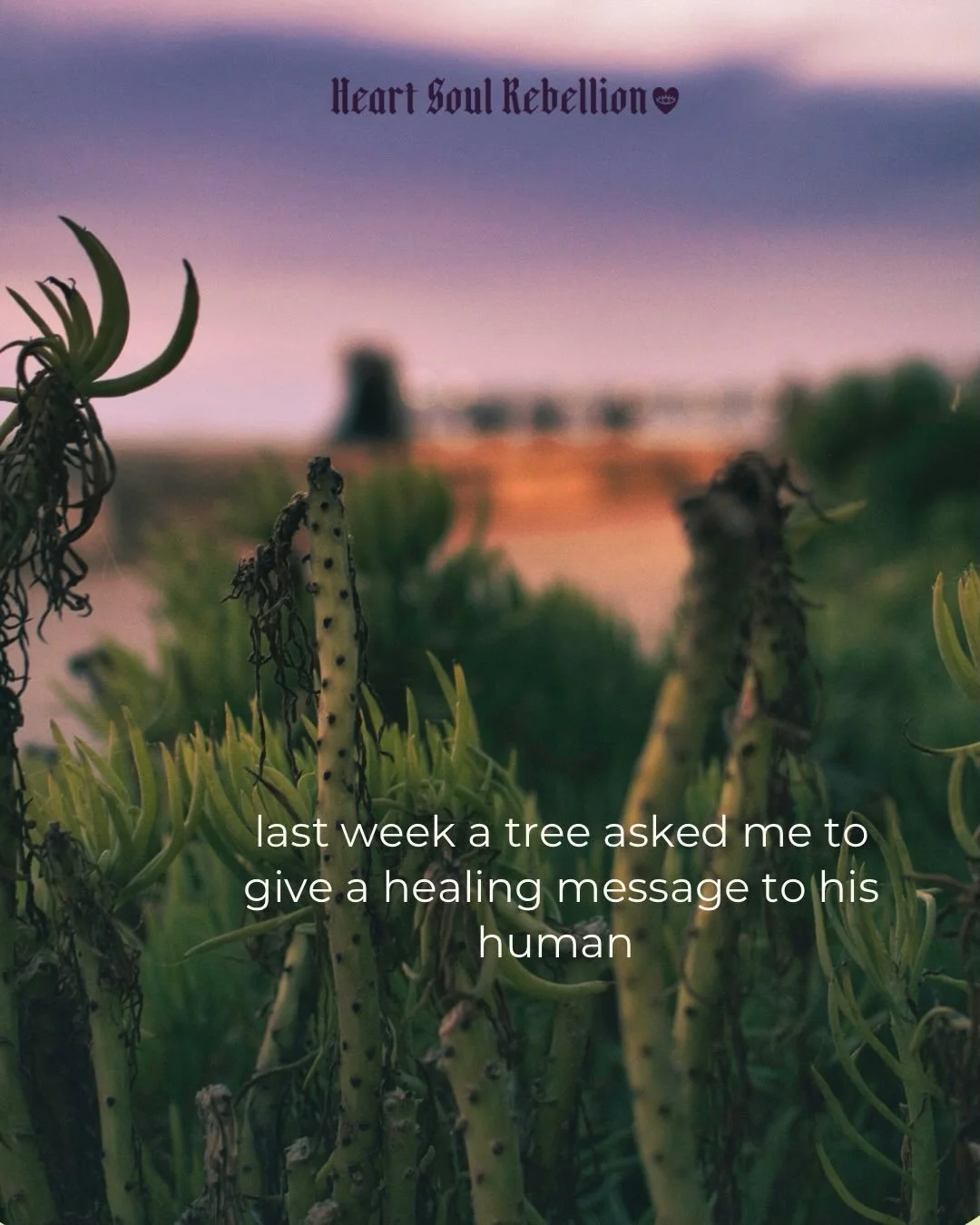 The admiration that tree had for his human will stay with me forever. 🌳🧡 

Follow me for more heart-centred, liberatory healing work for humans + animals. (And more-than-human teachers.)

#healingthroughconnection #treelovers #culturesofcare #talki