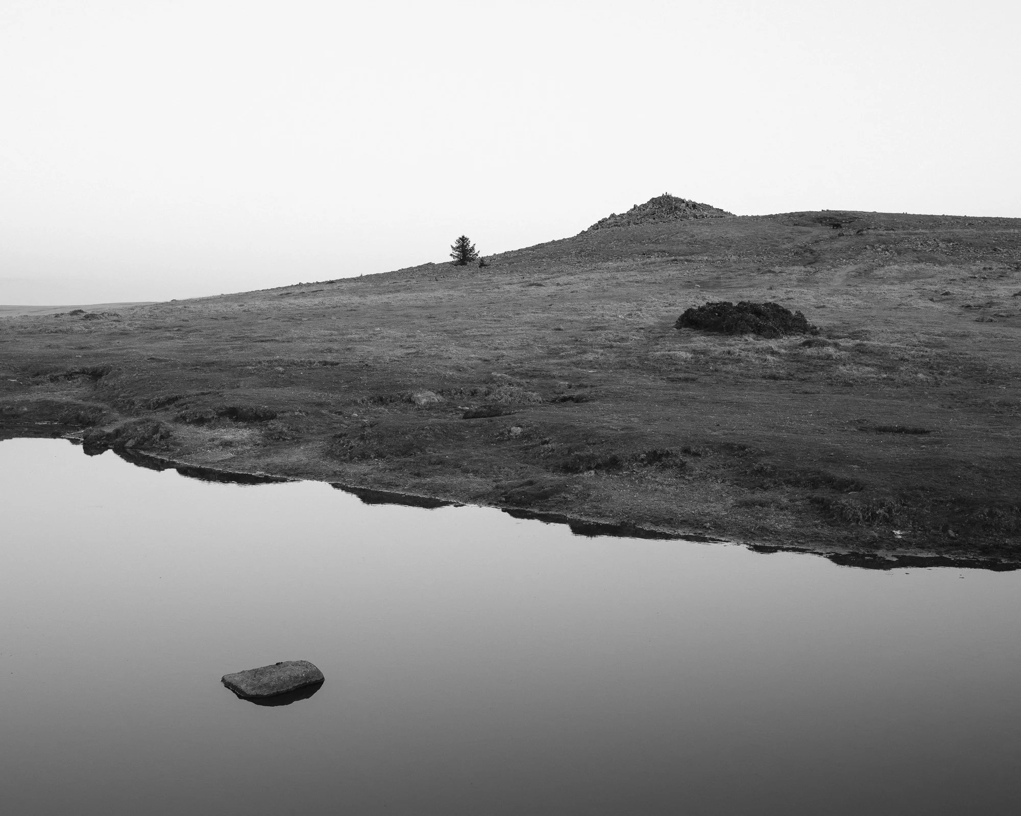 Alex Denton 604 jpegs-2.jpg