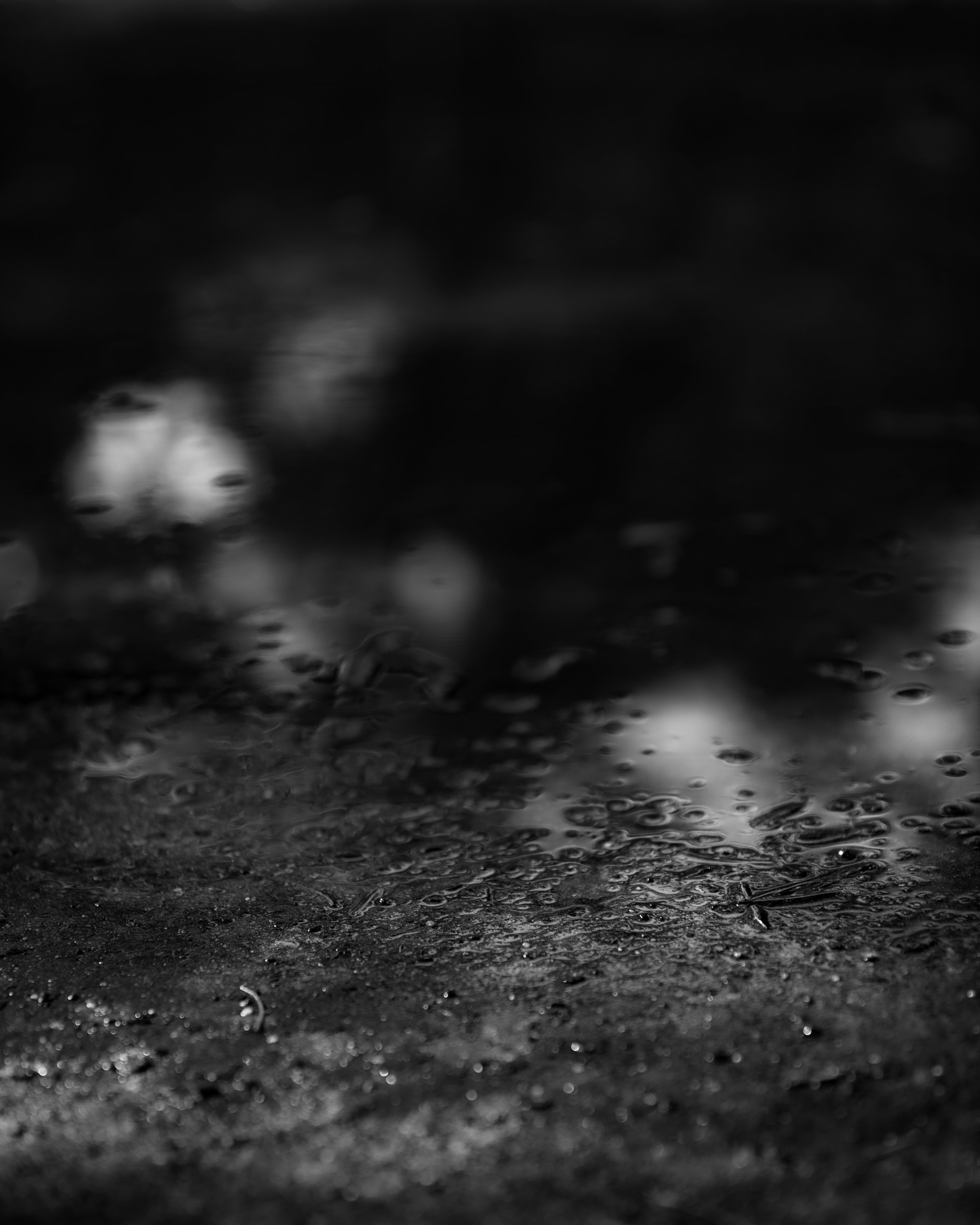 BORI_20263003_0027-1.jpg