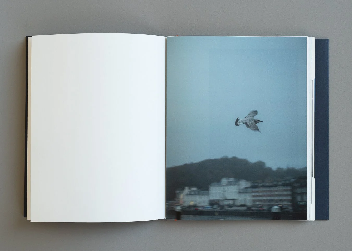 wanderingstar_photobook_bernardi-09620.jpg
