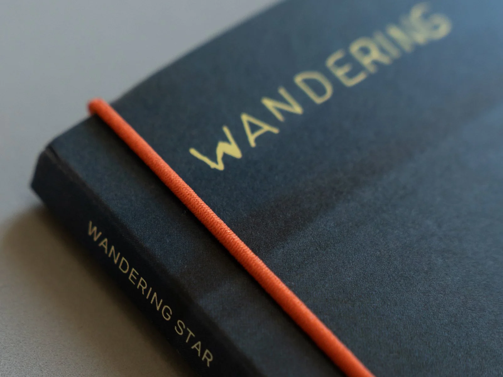 wanderingstar_bernardi_shop_02.jpg