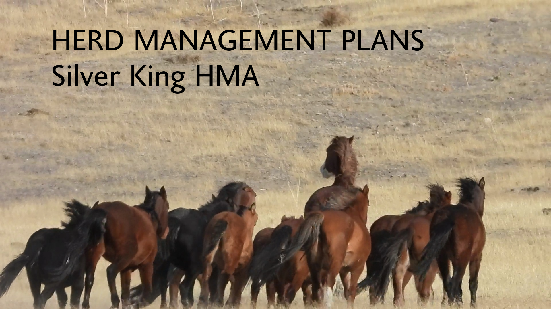 HERD MANAGMENT PLANS