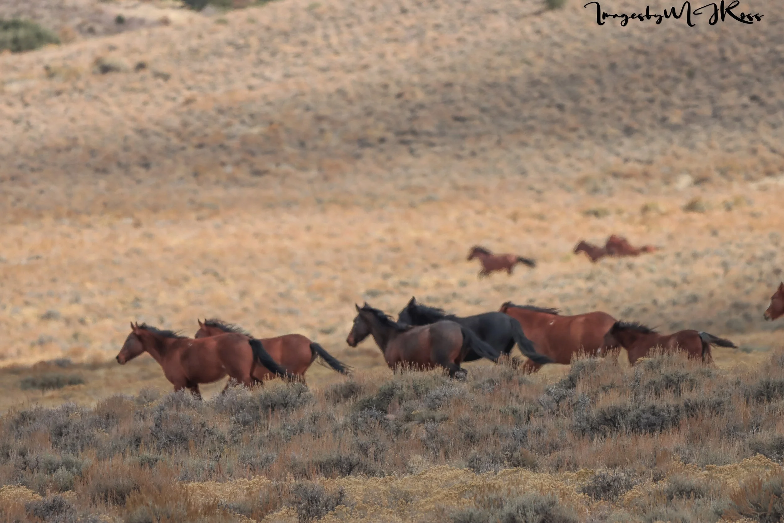 Congressional Bills H.R. 4323 and H.R. 6938 Signed Into Law