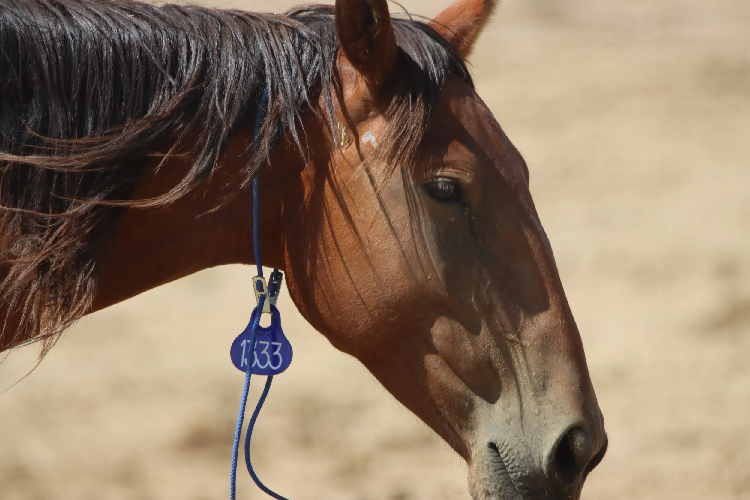 BLM CONTRACTED FACILITIES 2026