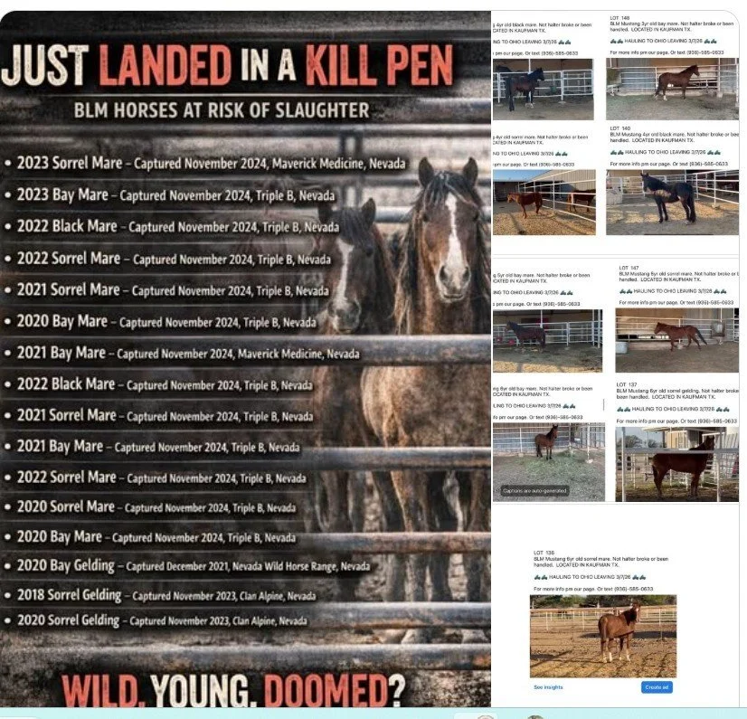Holding the BLM Accountable: The 2023 Advisory Board Admission on Kill Pen "Flipping"