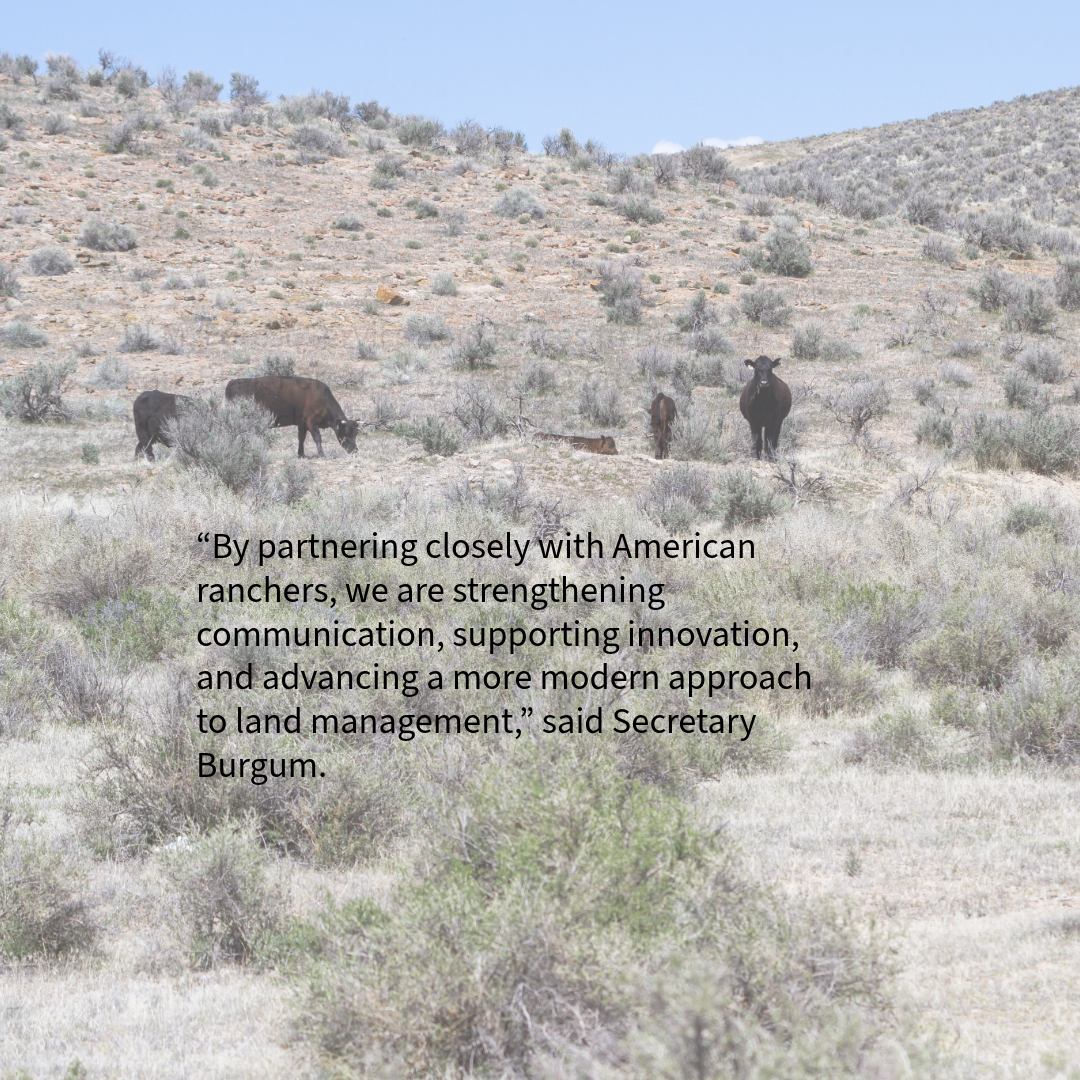 BLM and Forest Service join forces with the ranchers… MOU on Advancing Grazing: Implications for Wild Horses and Burros