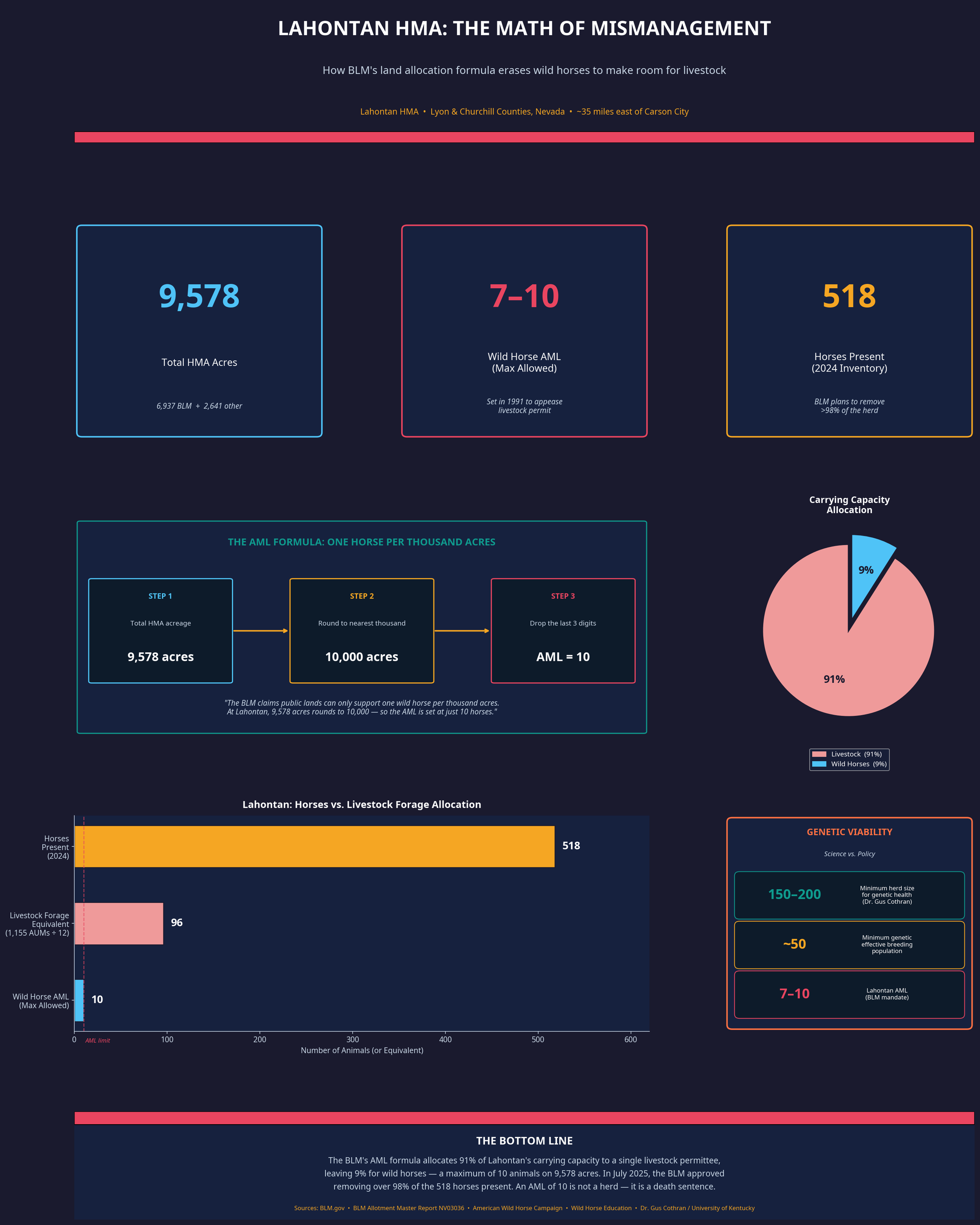 The Math of Mismanagement: How Public Lands Policy Fails Wild Horses