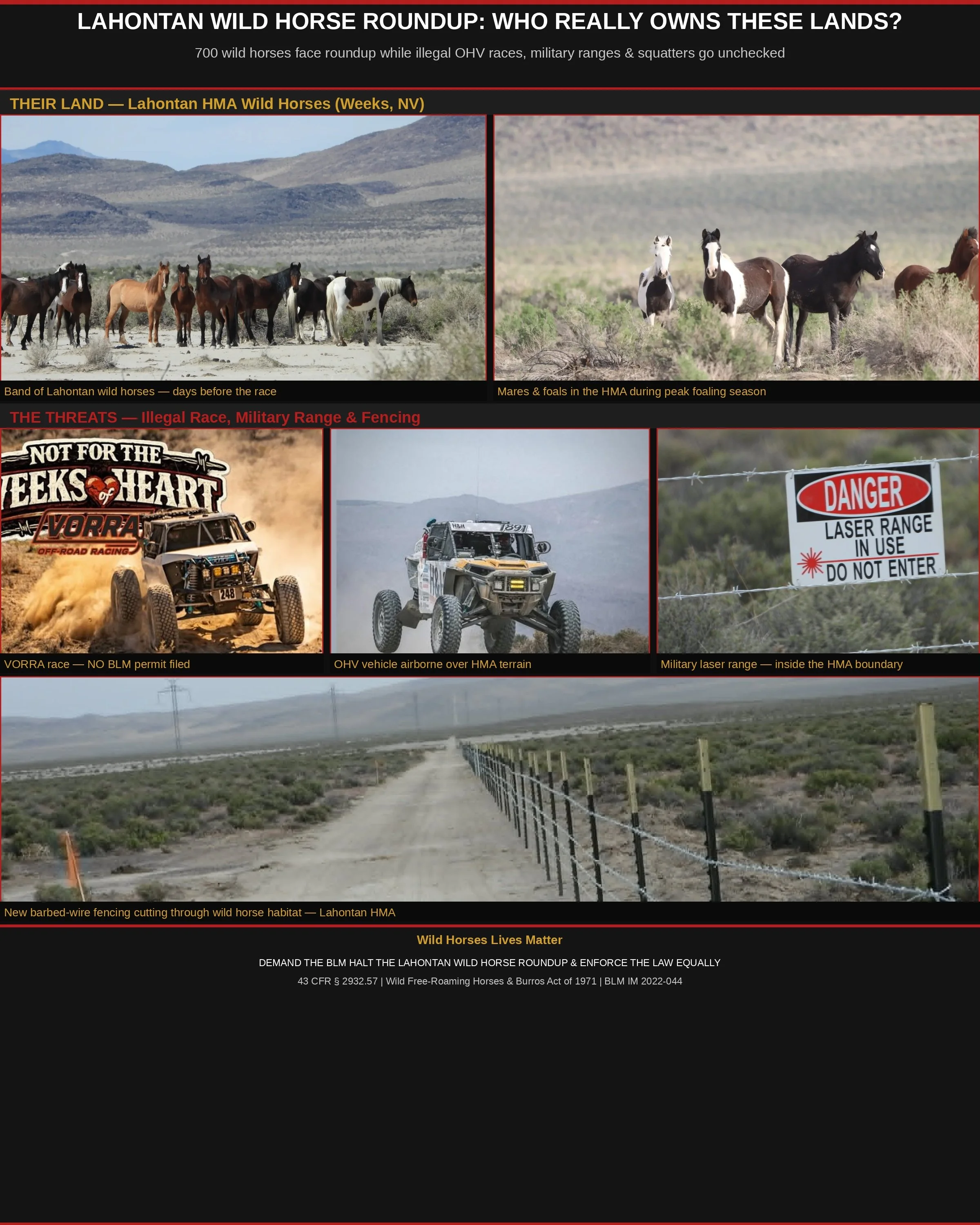 Contradictions in Public Land Management: The Lahontan Herd Management Area Wild Horse Roundup