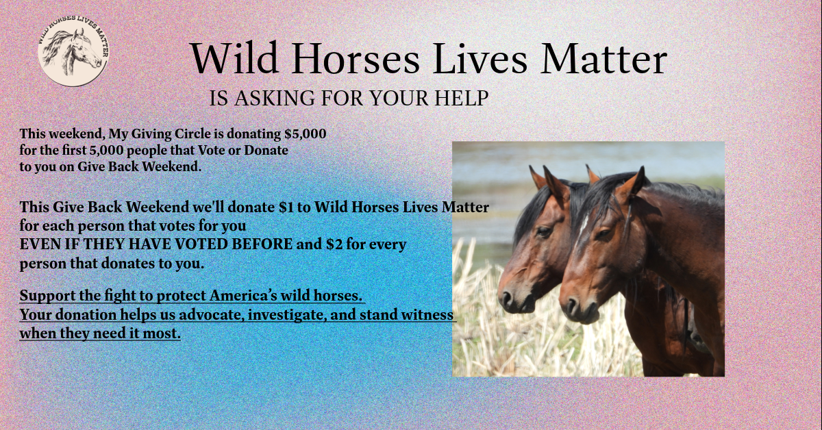 wILD hORSES LIVES MATTER/VOTE OR DONATE