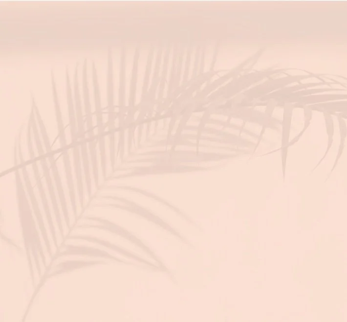 A shadow of a palm leaf cast on a light beige wall