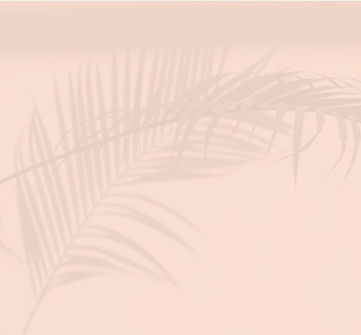 Shadow of a palm leaf on a light pink wall