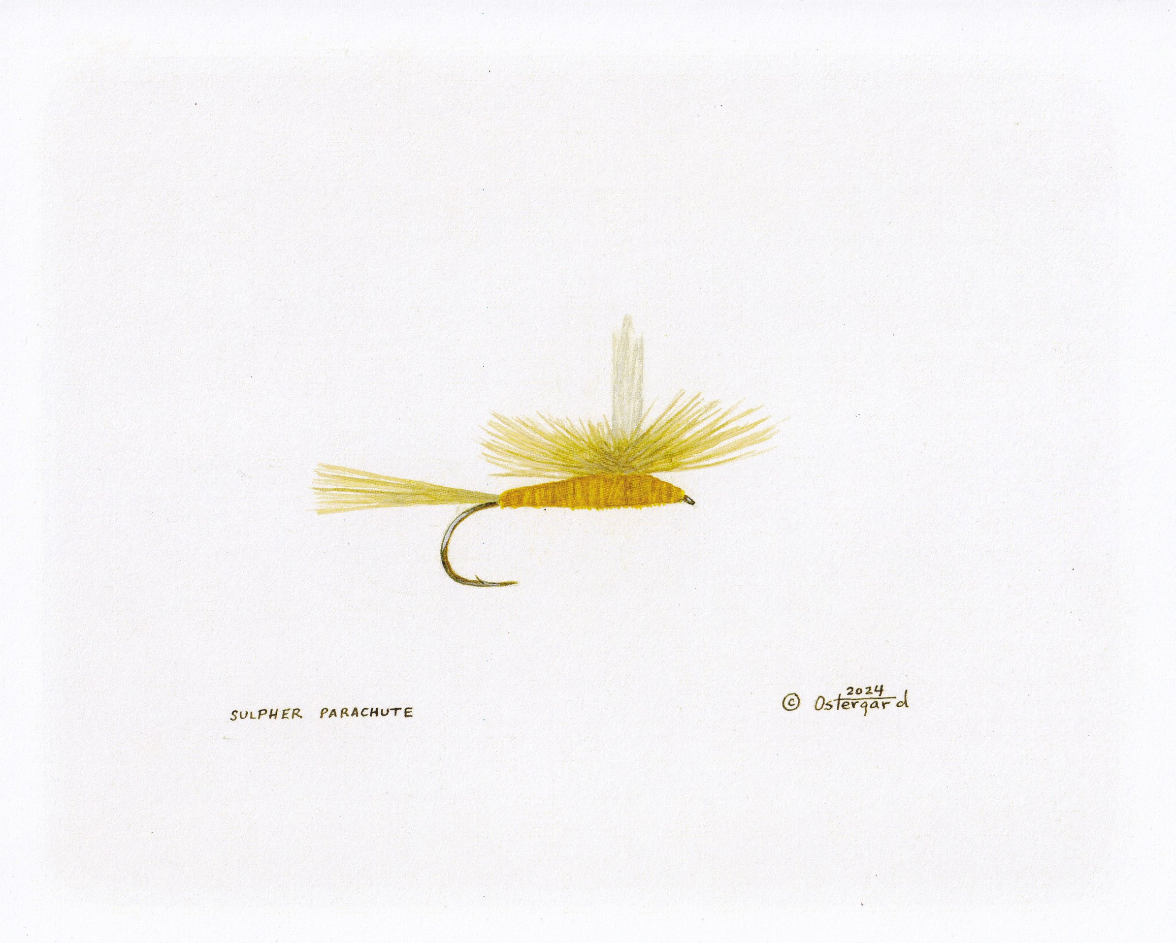 Sulpher Parachute