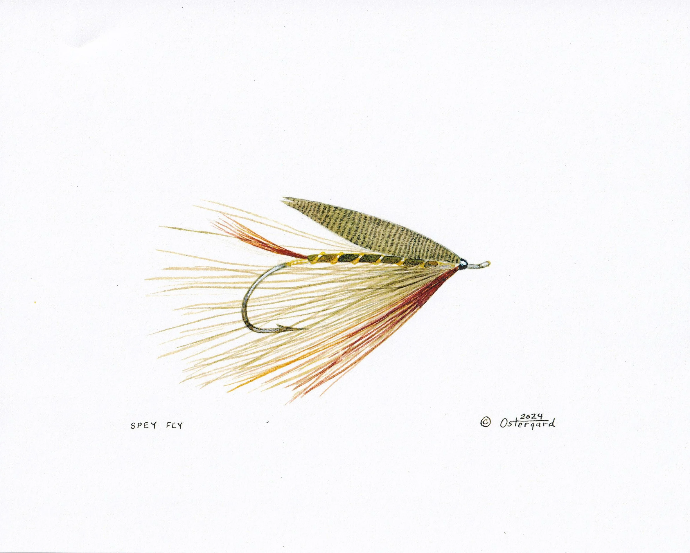 Spey Fly