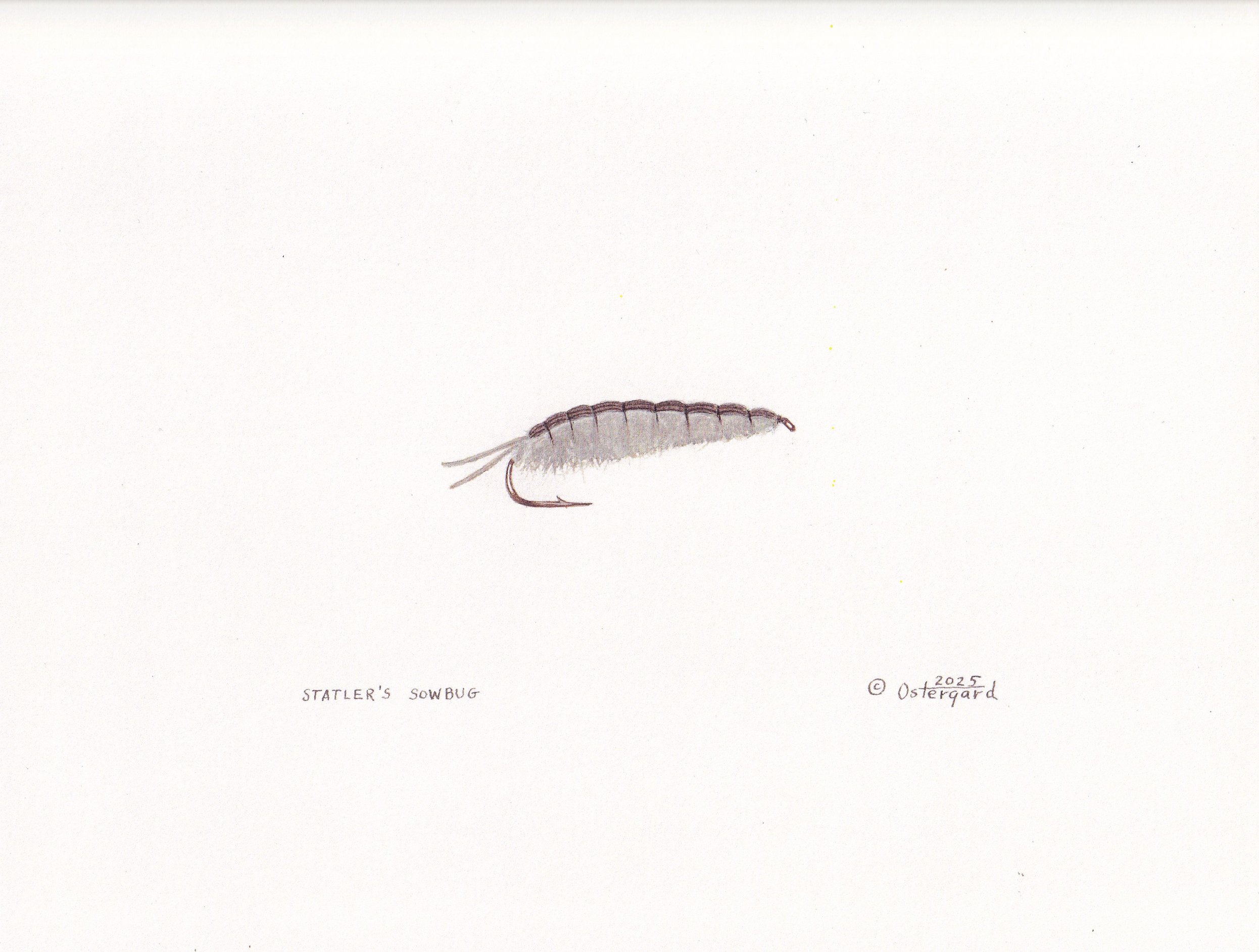 Statler's Sowbug