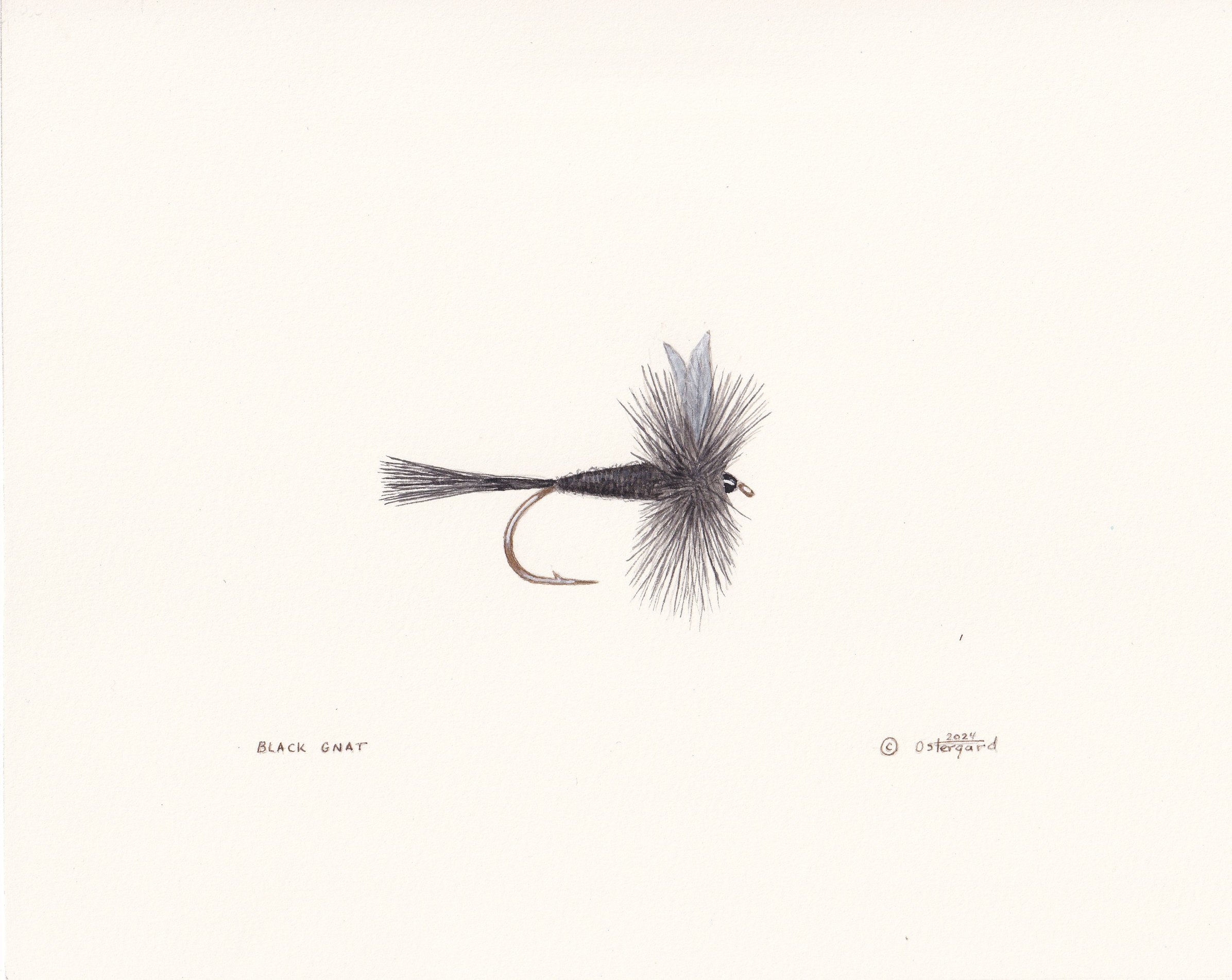 Black Gnat (Original)
