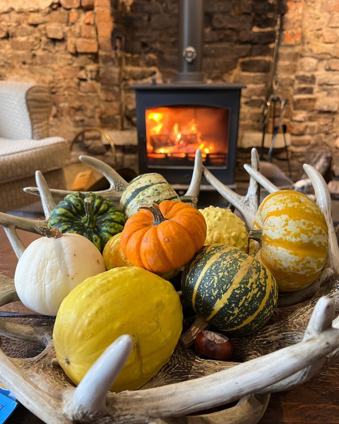 Pumpkins.png