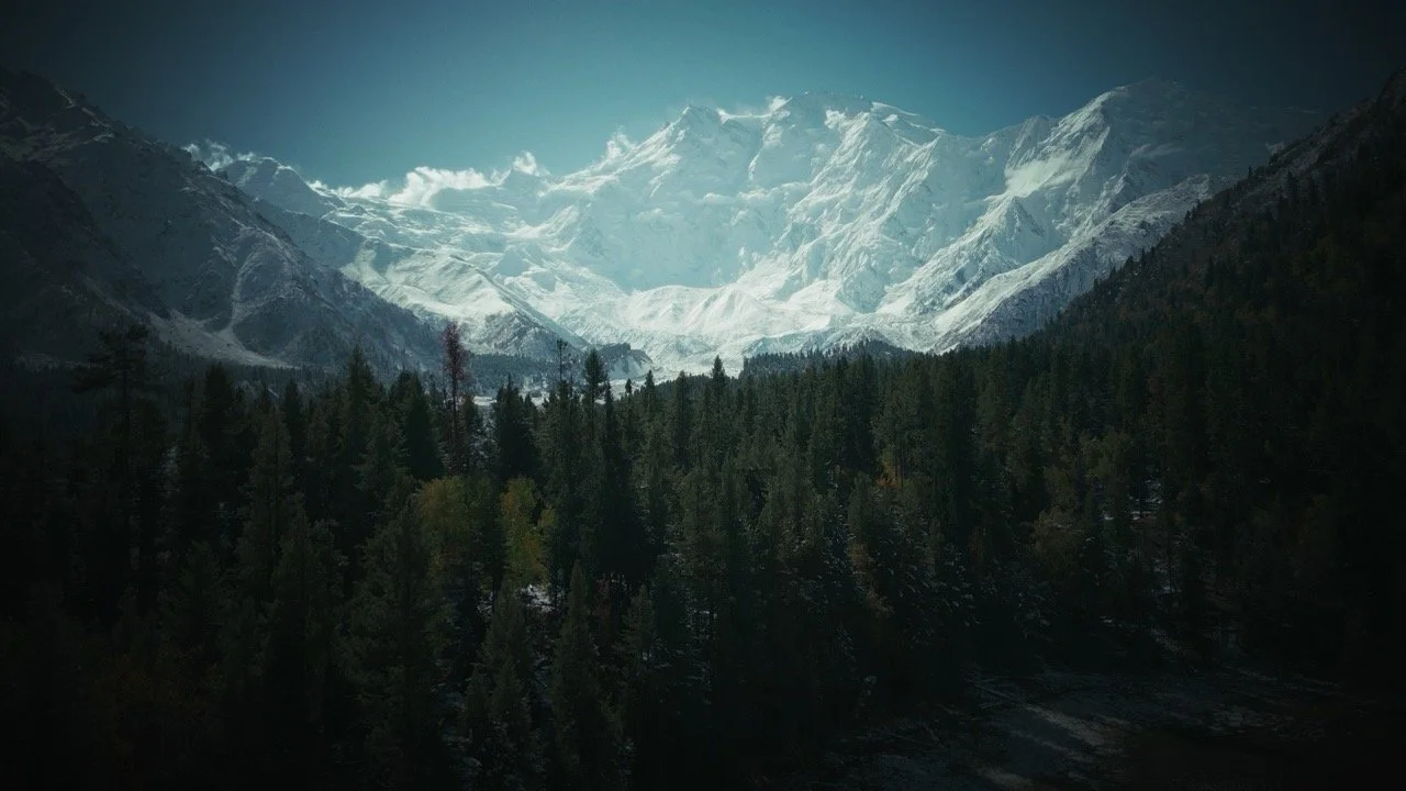 pakistan frame_1.11.1 - dimensioni grandi.jpg