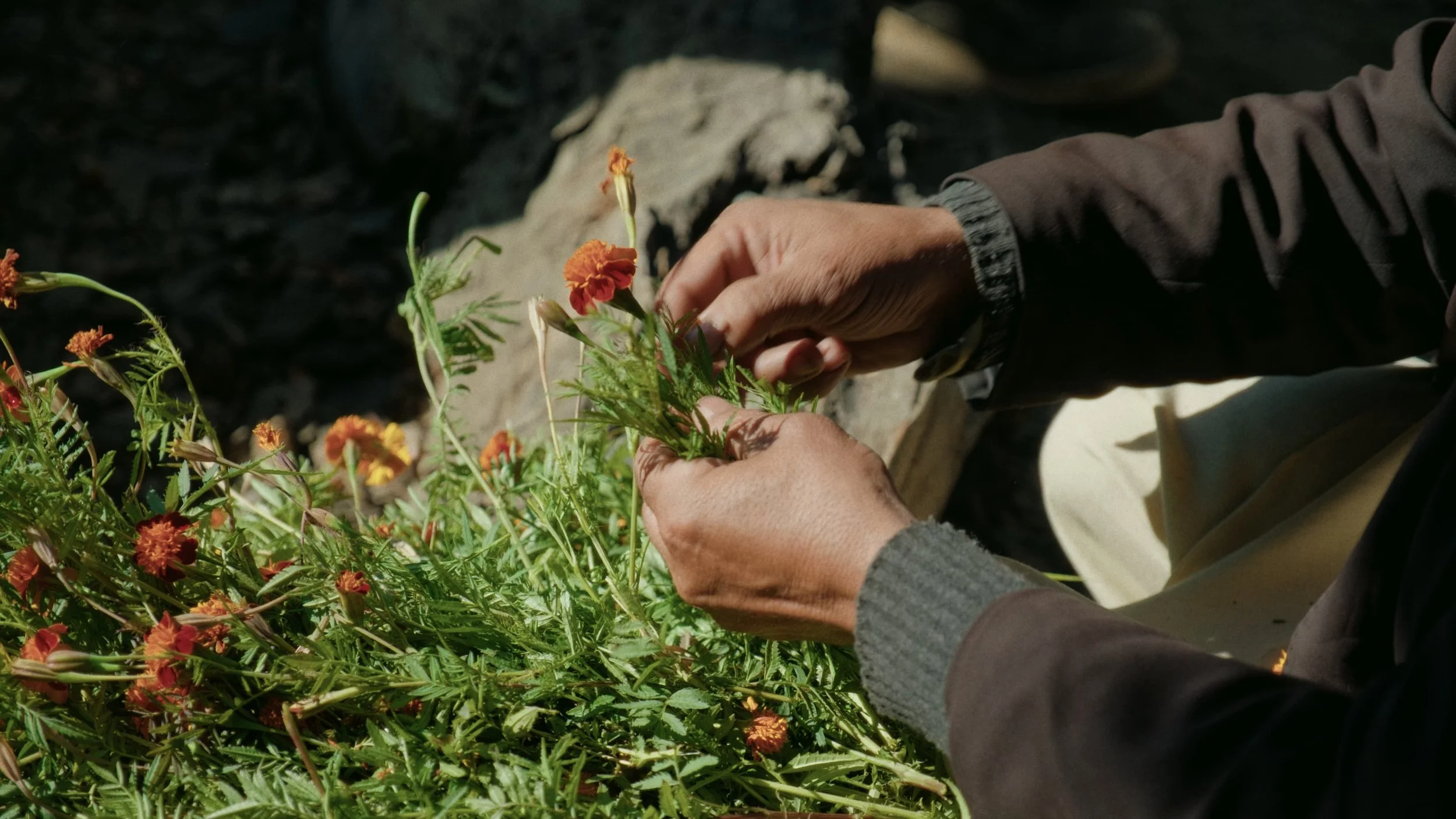 kalash man arrangino Orange Flowers