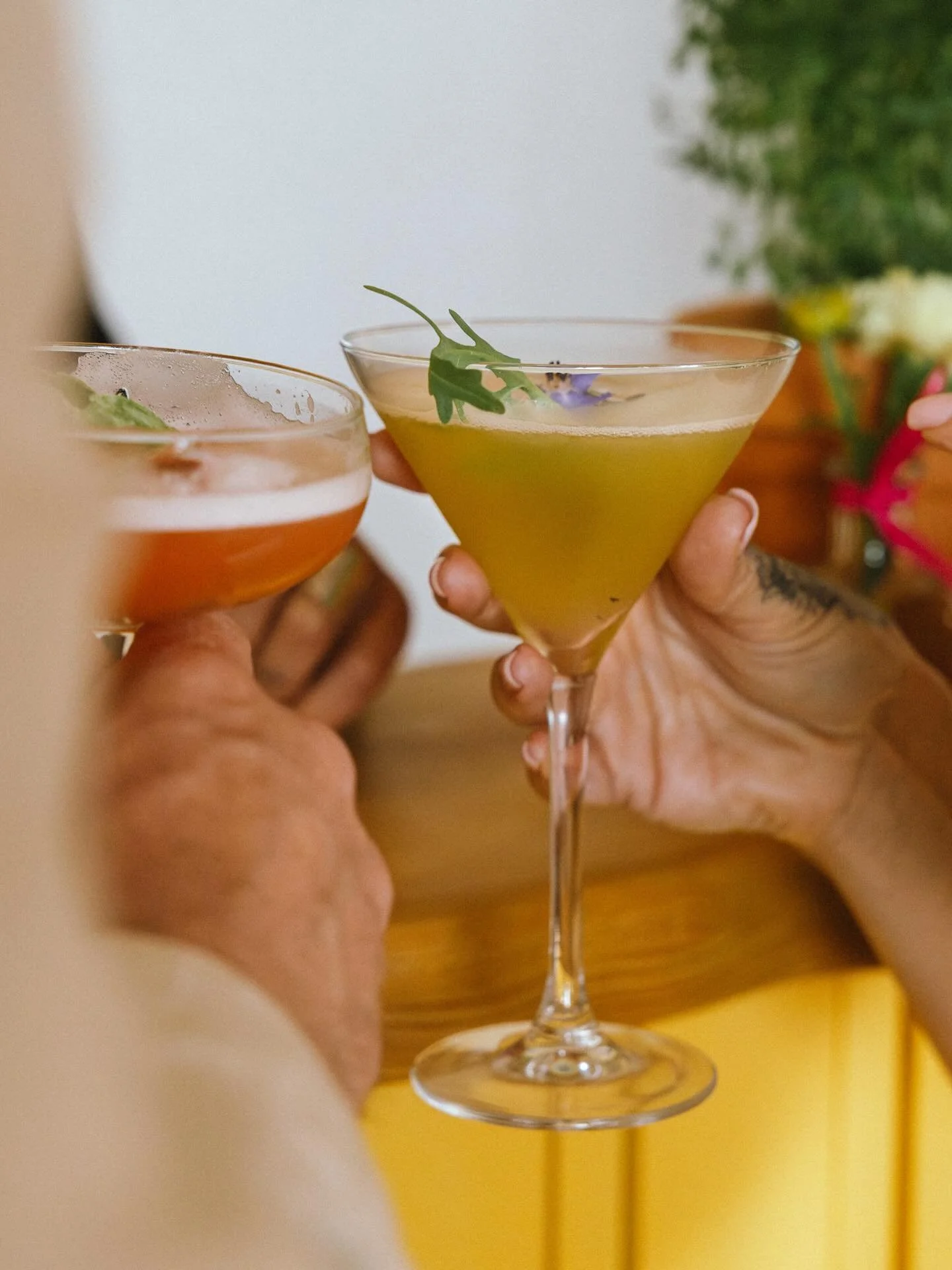 Des cocktails pour le vin d&rsquo;honneur de ton mariage 🍸

📸 @maryn.lrd 

Lieu : @domainedelaroseblanche 
Wedding Planner : @agencesomewhere 
Wedding Designer : @mydeco.loc 
Fleuriste : @les_fleurs_de_margot 
Officiante : @les_mots_tions.events 
R