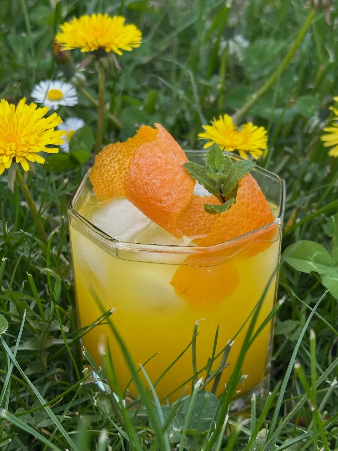 Le soda naturel dont on a envie tous les jours de l&rsquo;ann&eacute;e ❤️&zwj;🔥
Pas trop sucr&eacute;, p&eacute;tillant, frais, l&eacute;g&egrave;rement acidul&eacute;.

Le bar &agrave; cocktails de ton &eacute;v&eacute;nement!
Des produits frais, d
