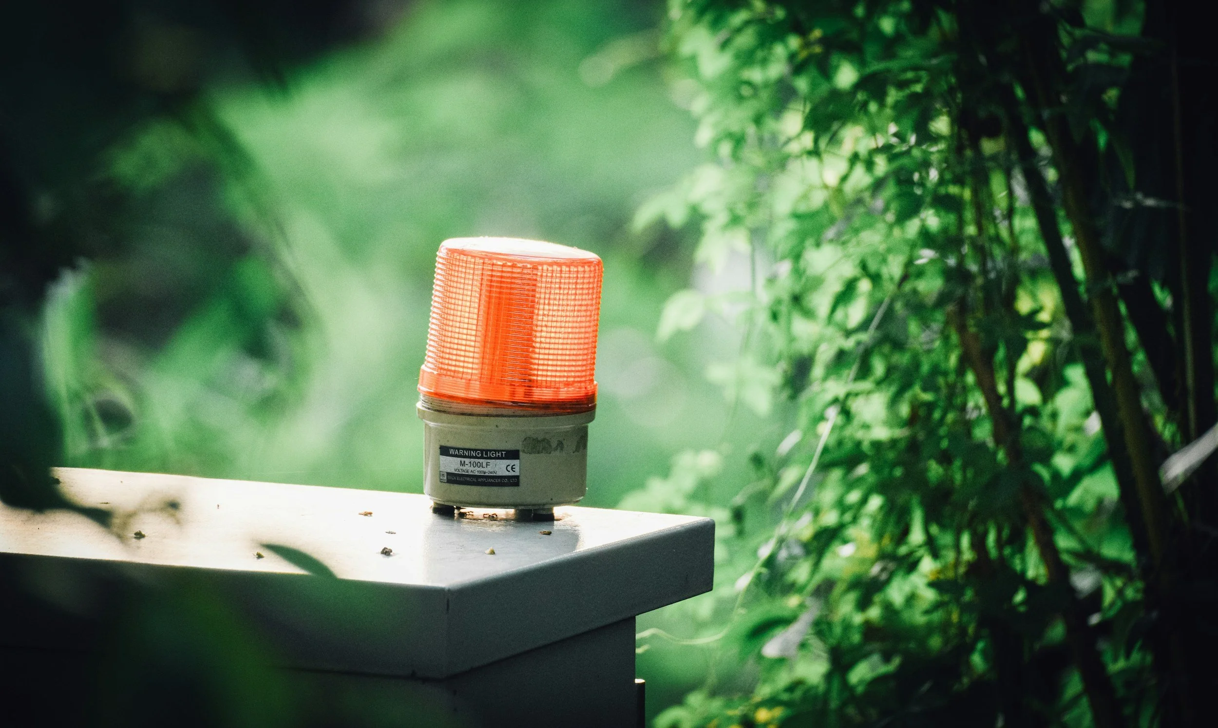 Orange warning light on a box surrounded by greenery