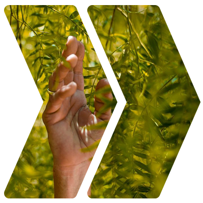 sustainability and social impact initiatives