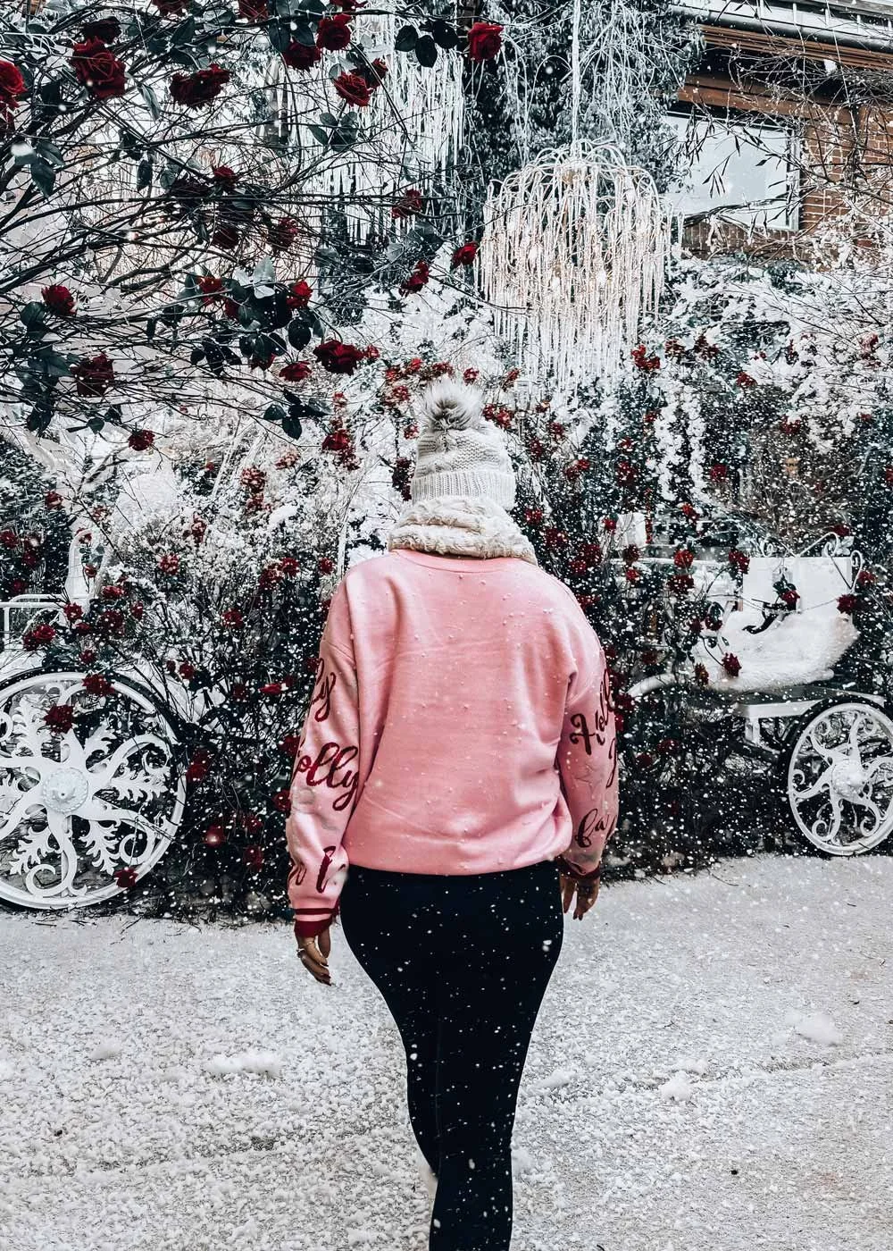 winter-wonderland-snow-tammie.jpg