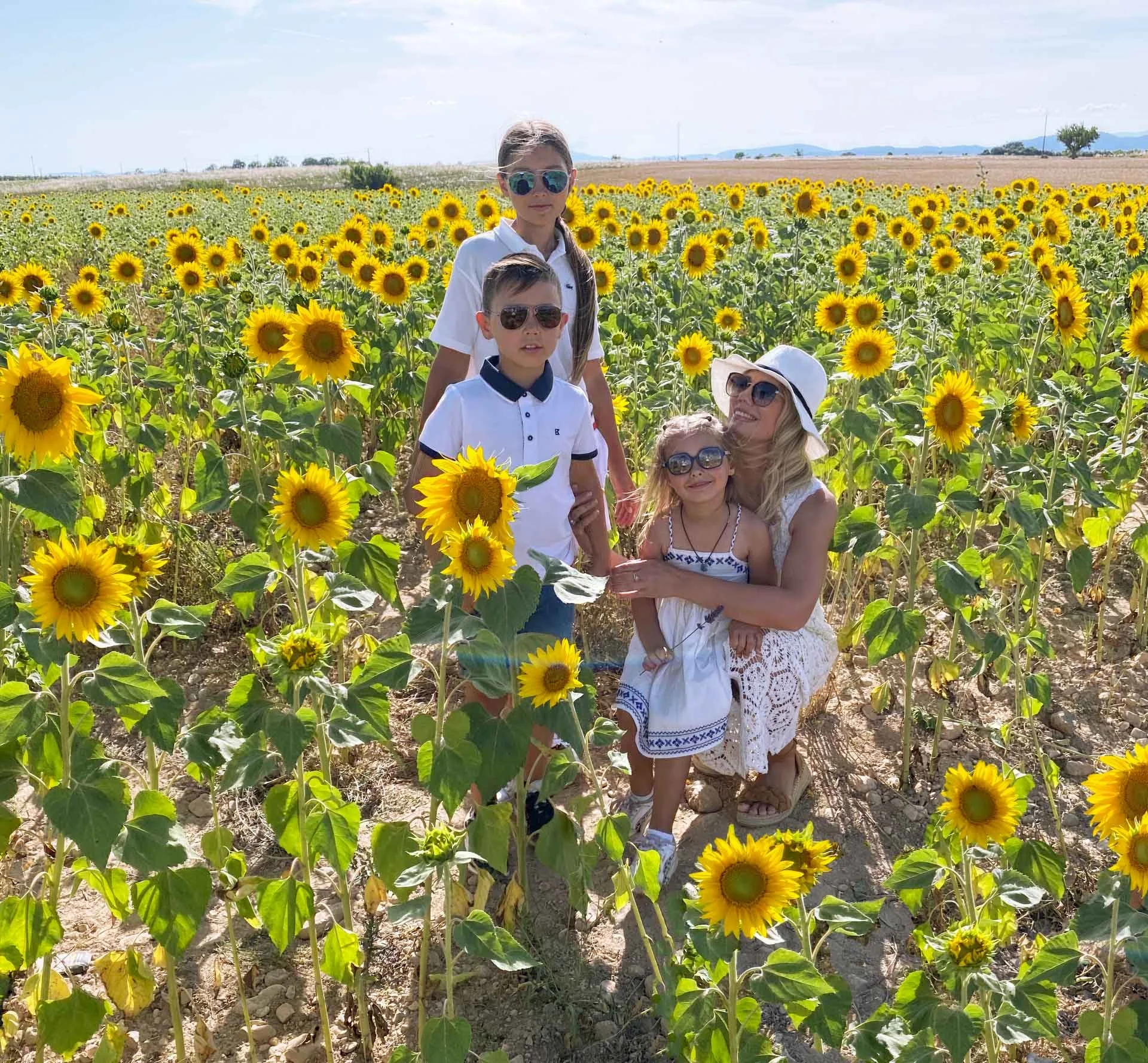 sunflower-provence-france-family-travel-blog.jpg