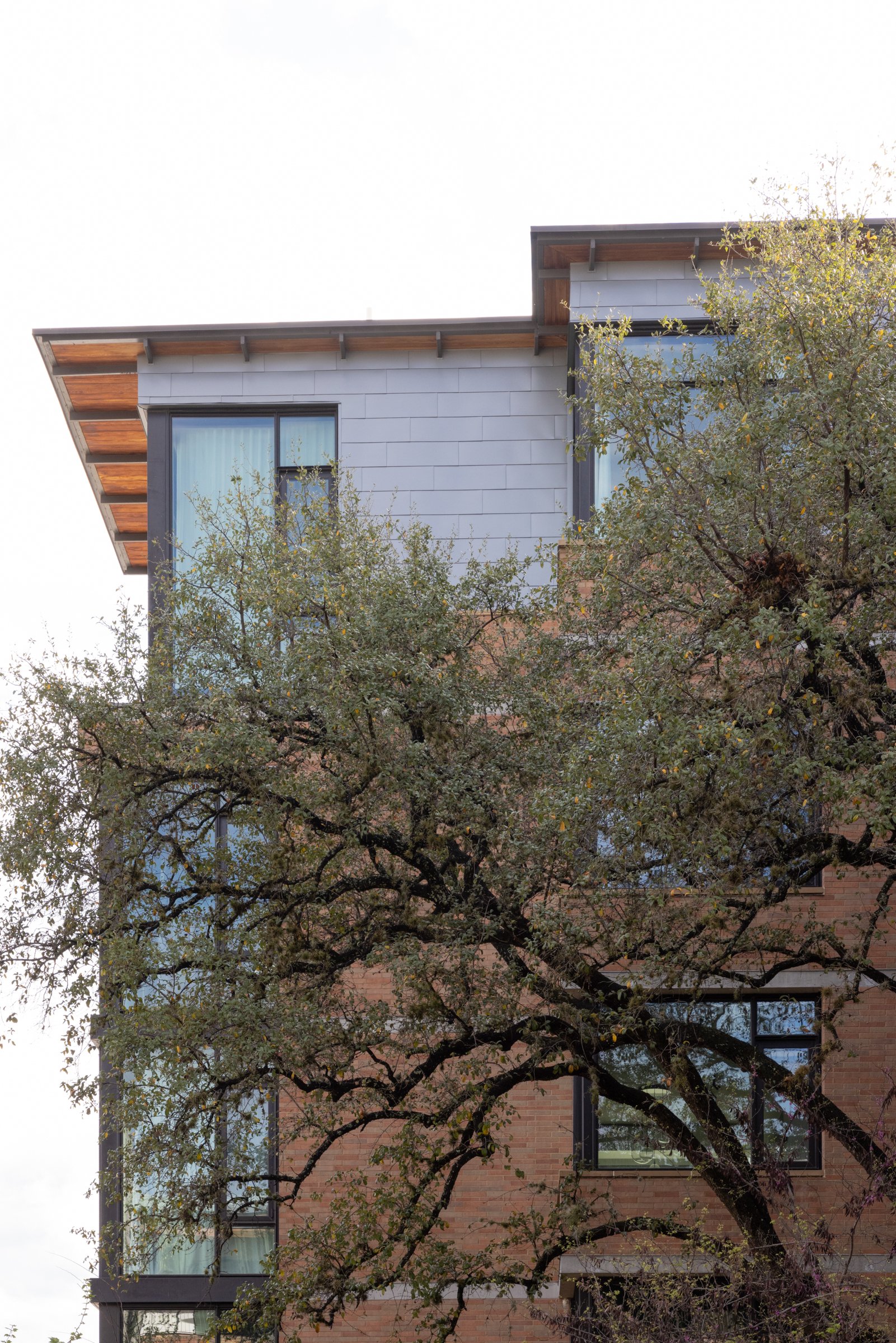 Luxury architectural interior design by Intimate Living Interiors.