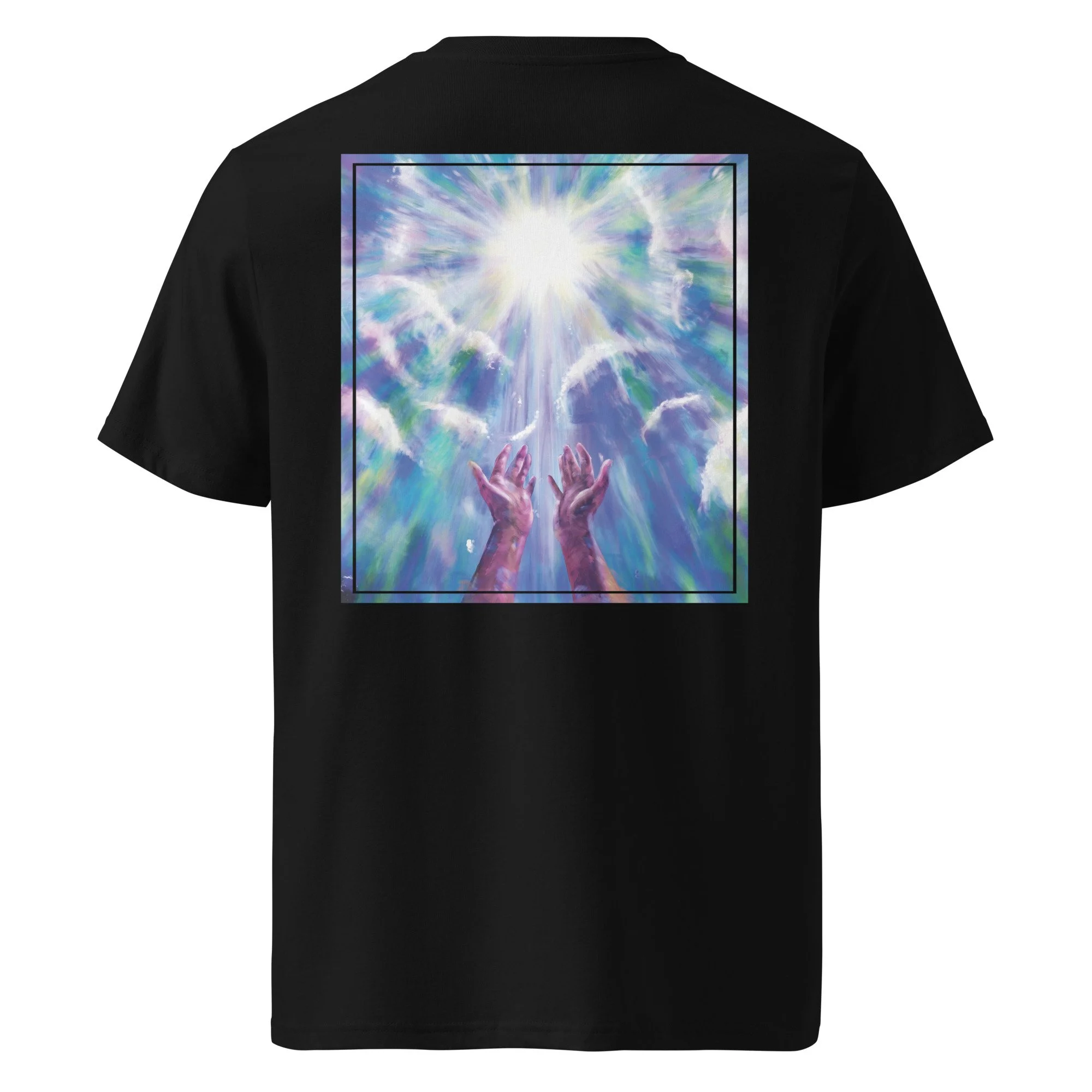 unisex-organic-cotton-t-shirt-black-back-67eceec41cde4.jpg
