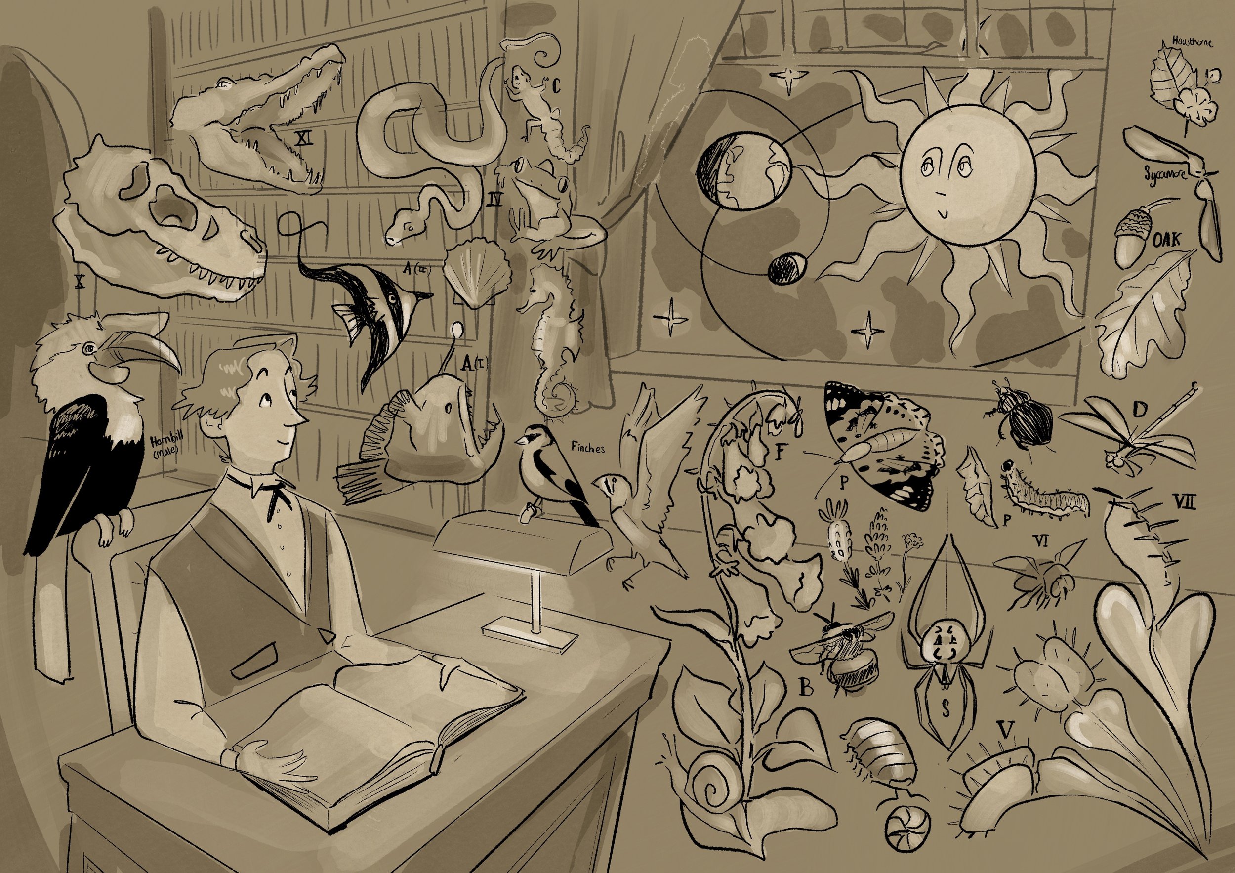Digital Rough that was presented to the client.