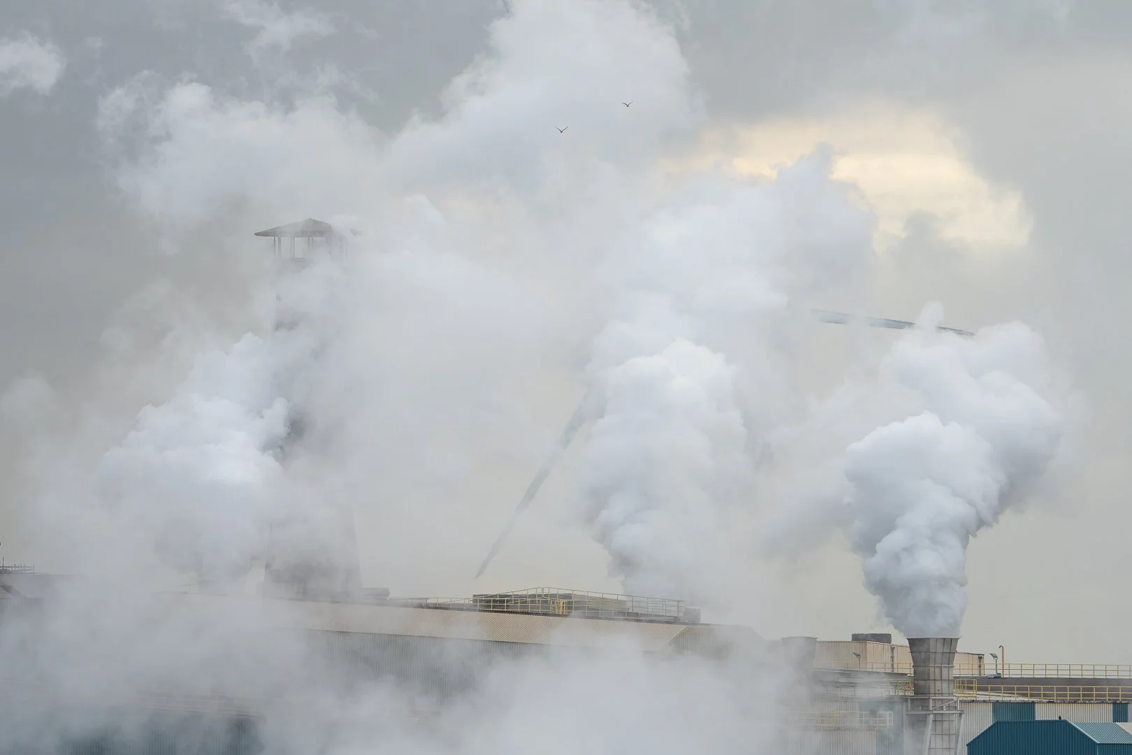 Richard Kalkman fotografie project witte rook is schoon