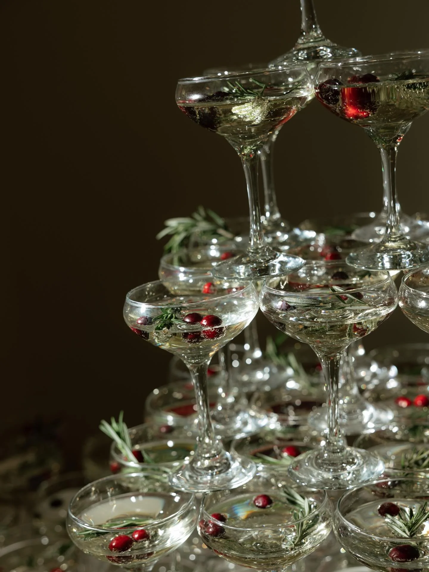 Hosting for the holidays is all about the little details 🥂

Something as simple as a sprig of rosemary and a few cranberries in a glass of champagne can turn it into the cutest festive sip! 
.
.
@annalisephotography_ 
@realmplanning 
@catalyst.natur