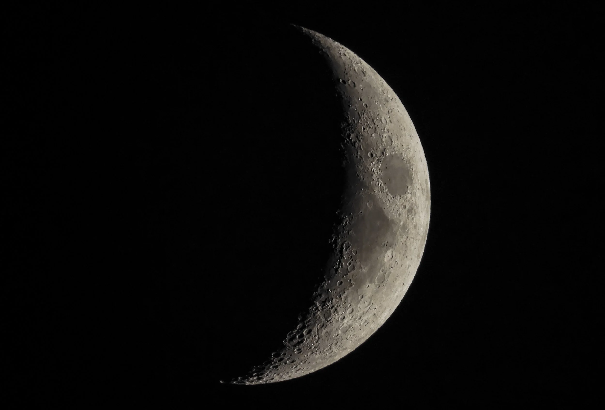DSCN0696.jpg