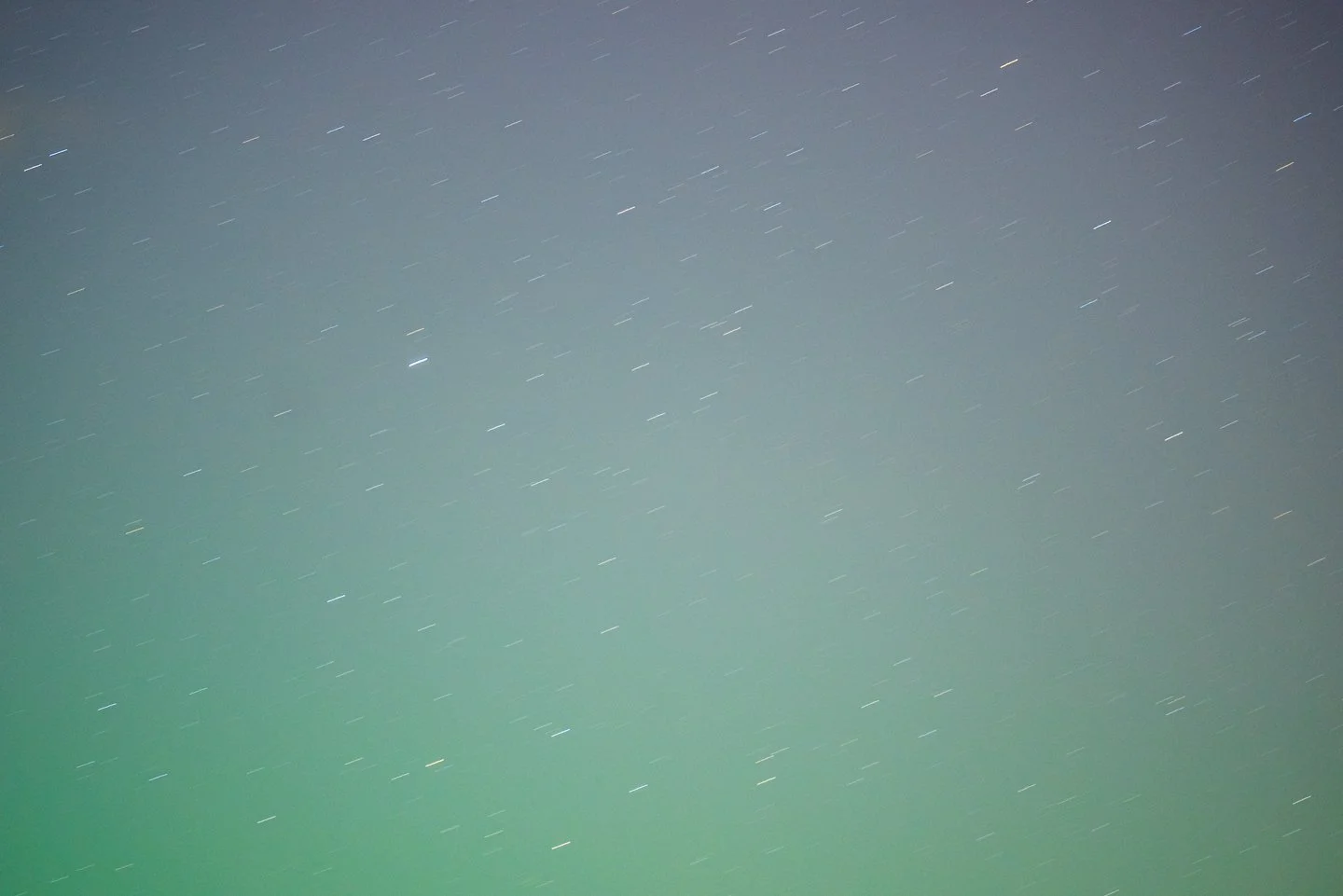 DSC03201.jpg