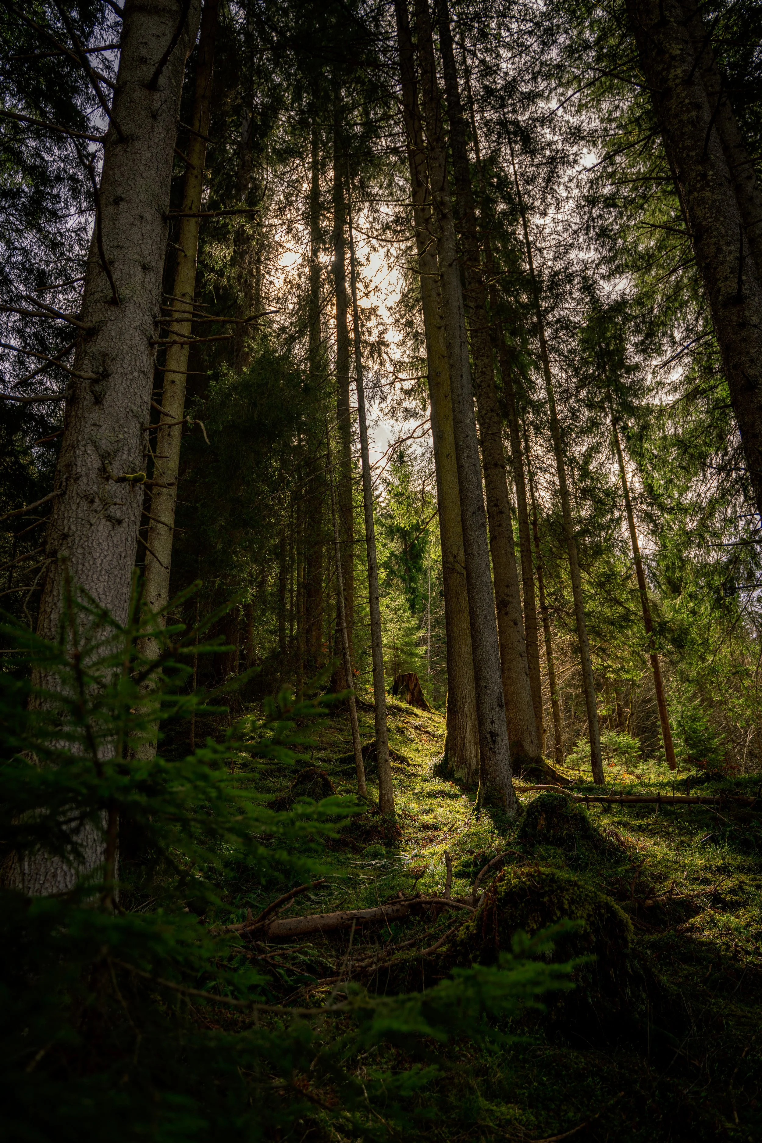 DSC05186-HDR.jpg