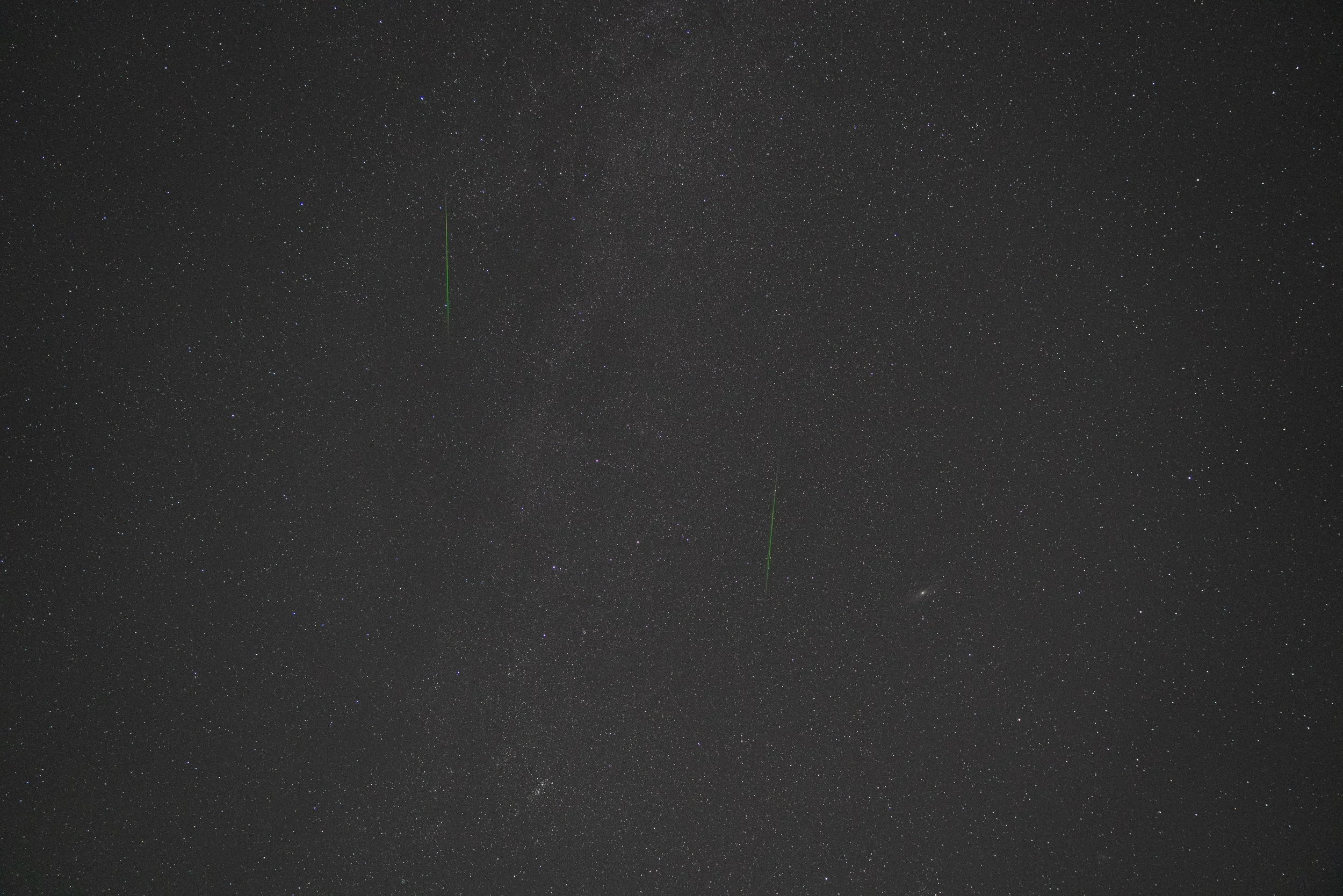 _DSC7346 (1).jpeg