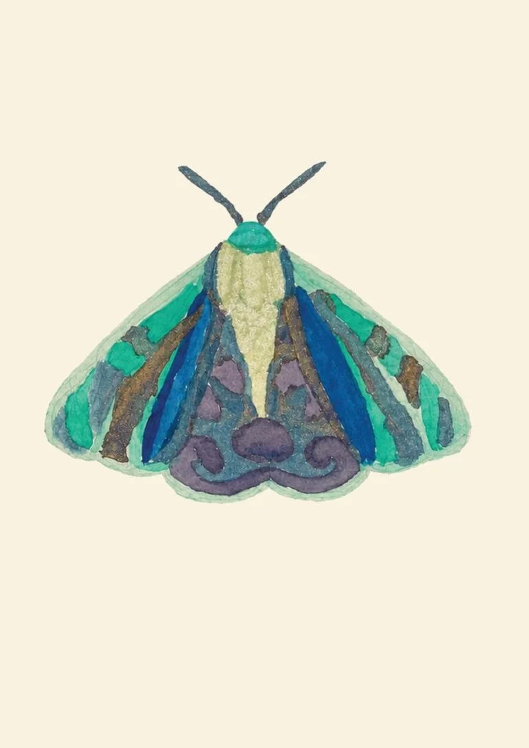 SOLSHINES_MOTH_CARD_WEB_01_FRONT.jpeg